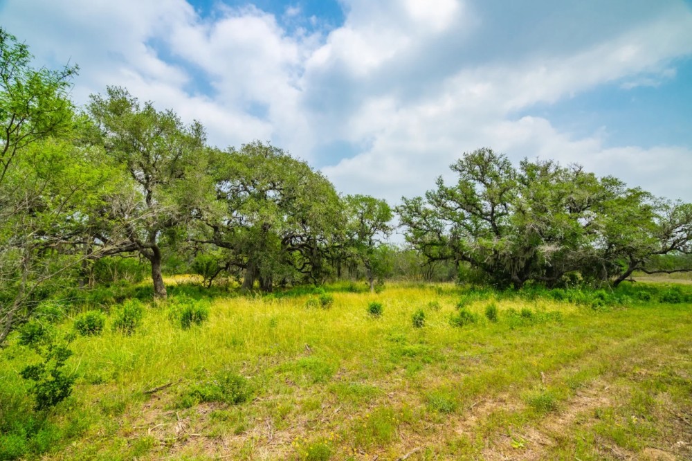 Bee Oaks Ranch featured image