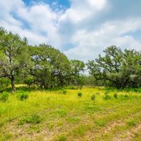 Bee Oaks Ranch images 1