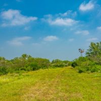 Bee Oaks Ranch images 2
