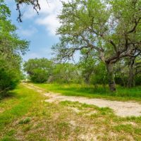 Bee Oaks Ranch images 3