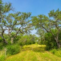 Bee Oaks Ranch images 4