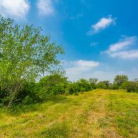 Bee Oaks Ranch images 5