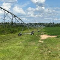 385 - Acre Rocky Creek Tract in Marianna FL