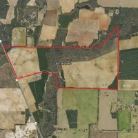 385 - Acre Rocky Creek Tract in Marianna FL images 2