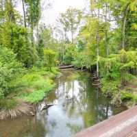 385 - Acre Rocky Creek Tract in Marianna FL images 3