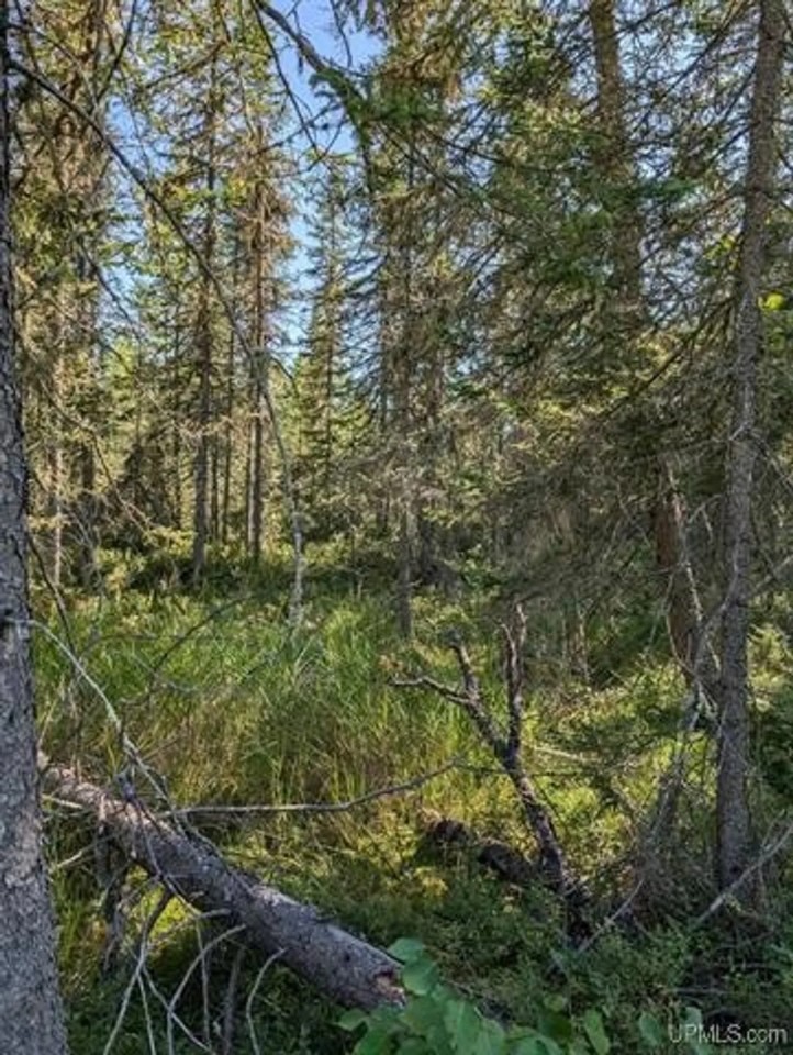 485 - Acres U.P. Vacant Land featured image