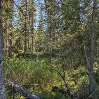 485 - Acres U.P. Vacant Land