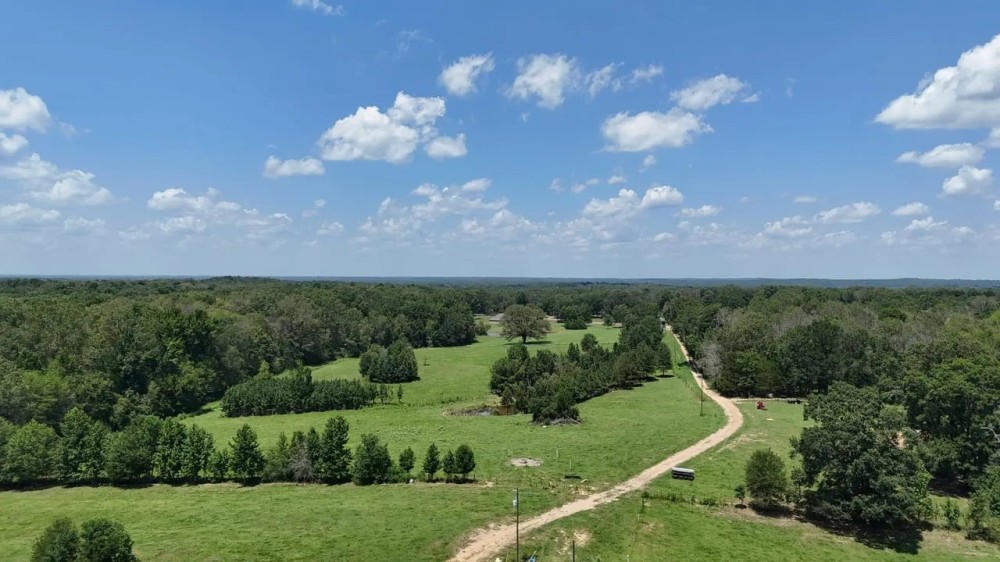 194 Acre Hunting Homesite and Pastureland for Sale featured image
