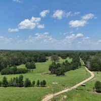 194 Acre Hunting Homesite and Pastureland for Sale