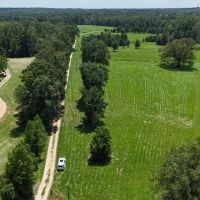 194 Acre Hunting Homesite and Pastureland for Sale images 2