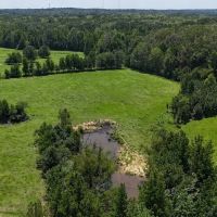 194 Acre Hunting Homesite and Pastureland for Sale images 3