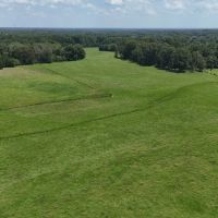 194 Acre Hunting Homesite and Pastureland for Sale images 4
