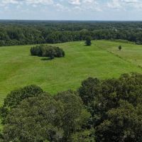 194 Acre Hunting Homesite and Pastureland for Sale images 5