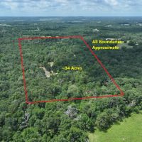 Off-Grid and Hunting Property in Fairfield Texas