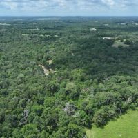Off-Grid and Hunting Property in Fairfield Texas images 2