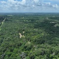 Off-Grid and Hunting Property in Fairfield Texas images 4