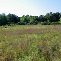 120 Acre Pasture and Hay w Hunting Pawnee County images 4