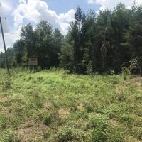 245 acres Greene Co. AL Eutaw