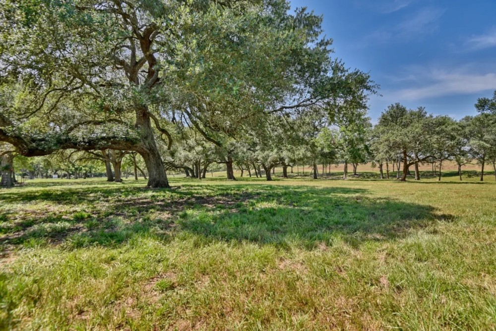 49.48 acres Weimar TX Colorado featured image