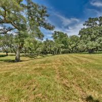 49.48 acres Weimar TX Colorado images 5