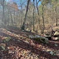 0000 TBD Panola OK 74559 images 2