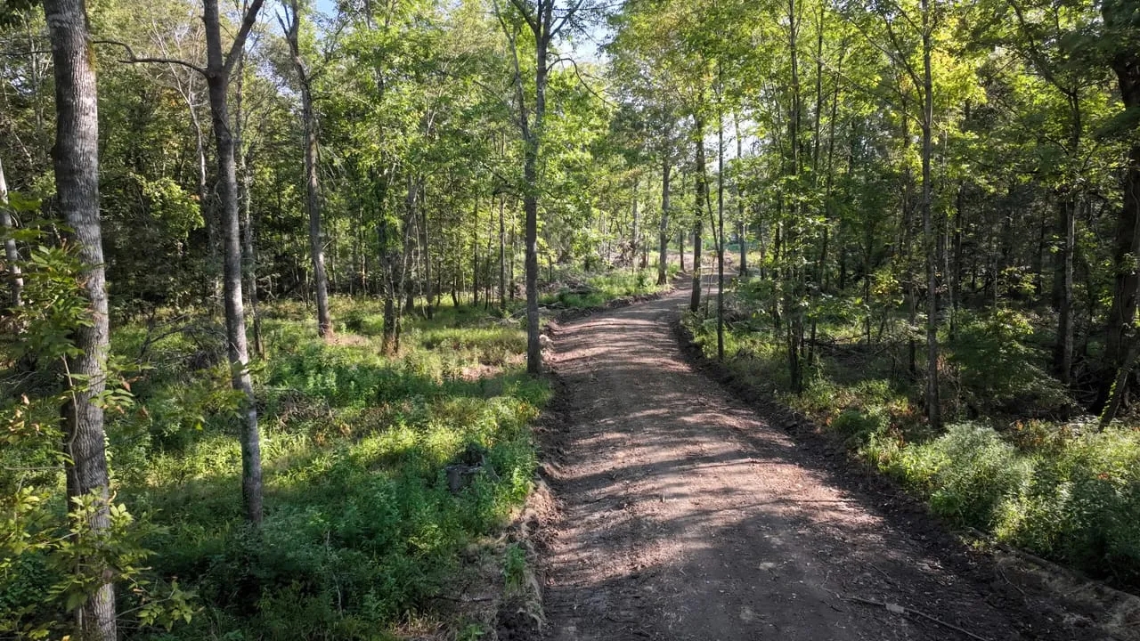 Clay County MS 435 Acres Tibbee Creek Timber Tract Hunting Land
