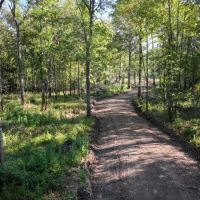 Clay County MS - 435 Acres - Tibbee Creek Timber Tract