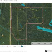 Clay County MS - 435 Acres - Tibbee Creek Timber Tract images 2