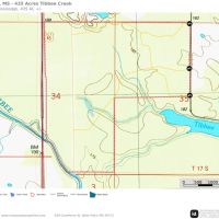 Clay County MS - 435 Acres - Tibbee Creek Timber Tract images 3