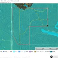 Clay County MS - 435 Acres - Tibbee Creek Timber Tract images 4