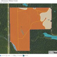 Clay County MS - 435 Acres - Tibbee Creek Timber Tract images 5