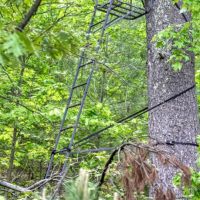 Turn-key Recreational Property in Sparta WI images 3