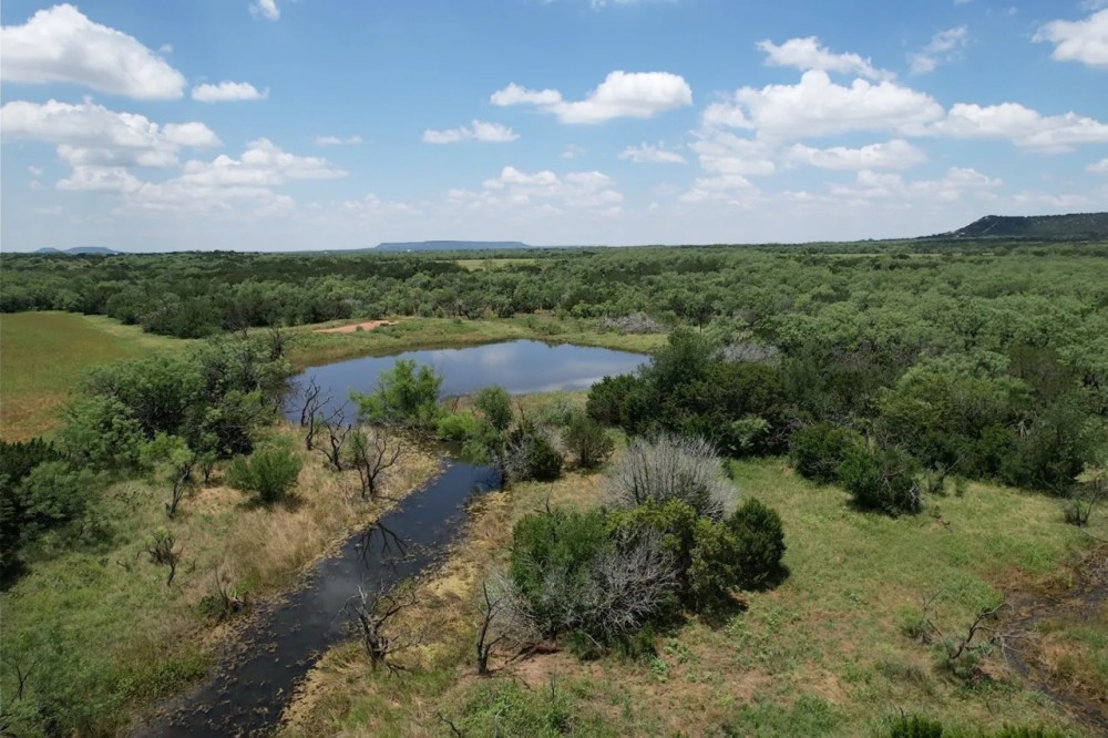 Price Reduction 16 - Acres Taylor County Tract 3 featured image