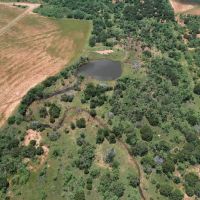 Price Reduction 16 - Acres Taylor County Tract 3 images 3