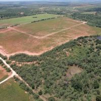 Price Reduction 16 - Acres Taylor County Tract 3 images 5