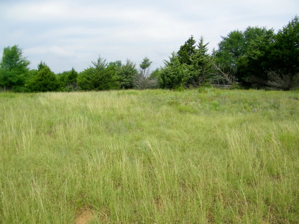 22.75 Acres for Home or Hobby Farm featured image