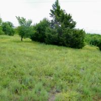 22.75 Acres for Home or Hobby Farm images 3