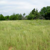 22.75 Acres for Home or Hobby Farm images 5
