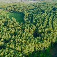 10 Acres T-14A Hickman Rd.