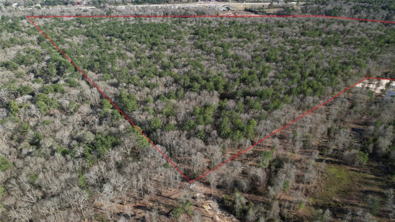 24850 Green Forest Dr Hunting Land for Sale