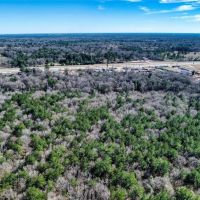 24850 Green Forest Dr images 2