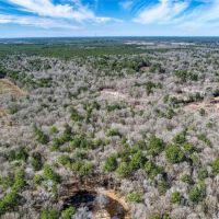 24850 Green Forest Dr images 3