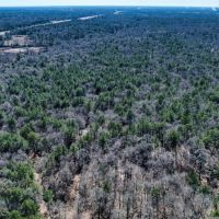 24850 Green Forest Dr images 5