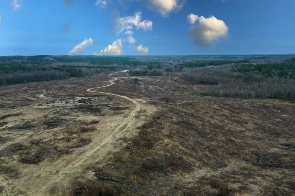 Wilkinson County Hunting Recreation featured image