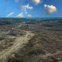 Wilkinson County Hunting Recreation