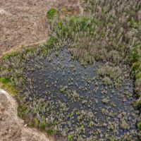 Wilkinson County Hunting Recreation images 4