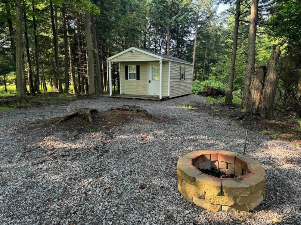 Secluded Cabin on 7.9 acres in Attica NY Halls Corners Rd featured image