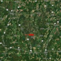 Secluded Cabin on 7.9 acres in Attica NY Halls Corners Rd images 3