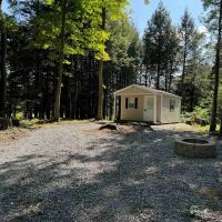 Secluded Cabin on 7.9 acres in Attica NY Halls Corners Rd images 4