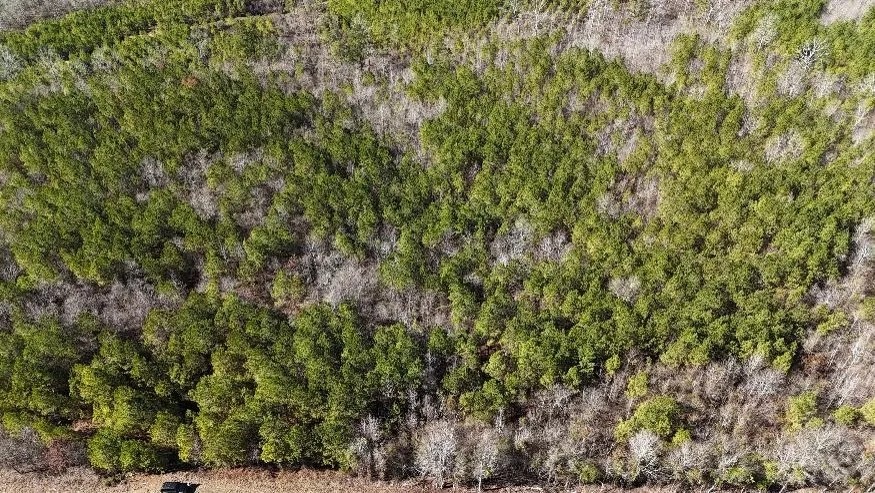 19 Acres in Leake County in Walnut Grove MS featured image